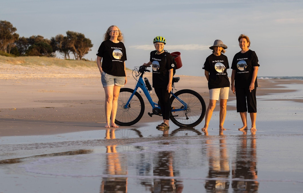 Bribie's hatchlings need our help
